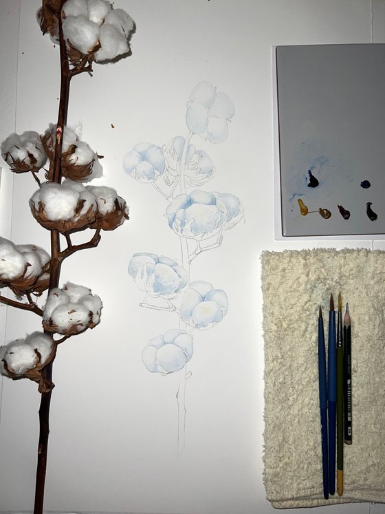 A branch of cotton. Original watercolor artwork.