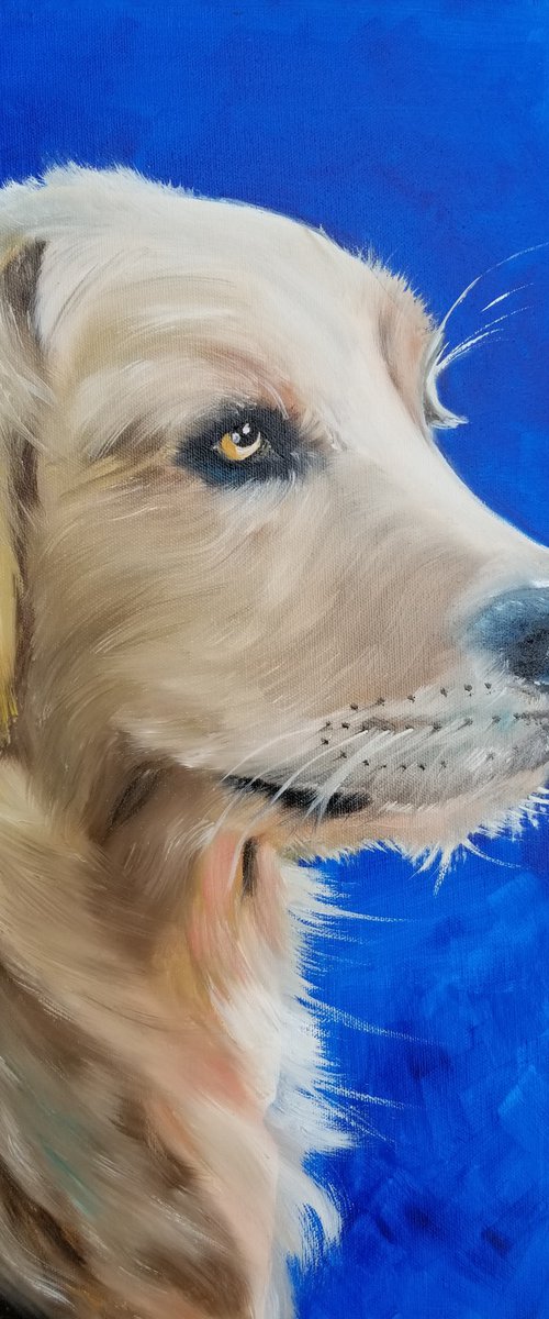 Golden Retriever. Original Oil Painting on Canvas. Pet Lovers Gift. Dog Lovers Gift. Puppy Potrait.  Pet Potrait. by Alexandra Tomorskaya/Caramel Art Gallery