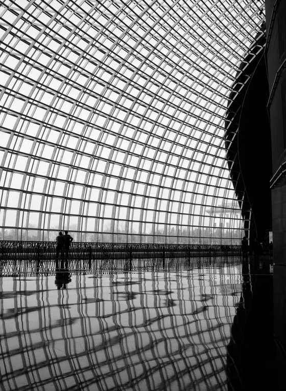 Inside the Dome