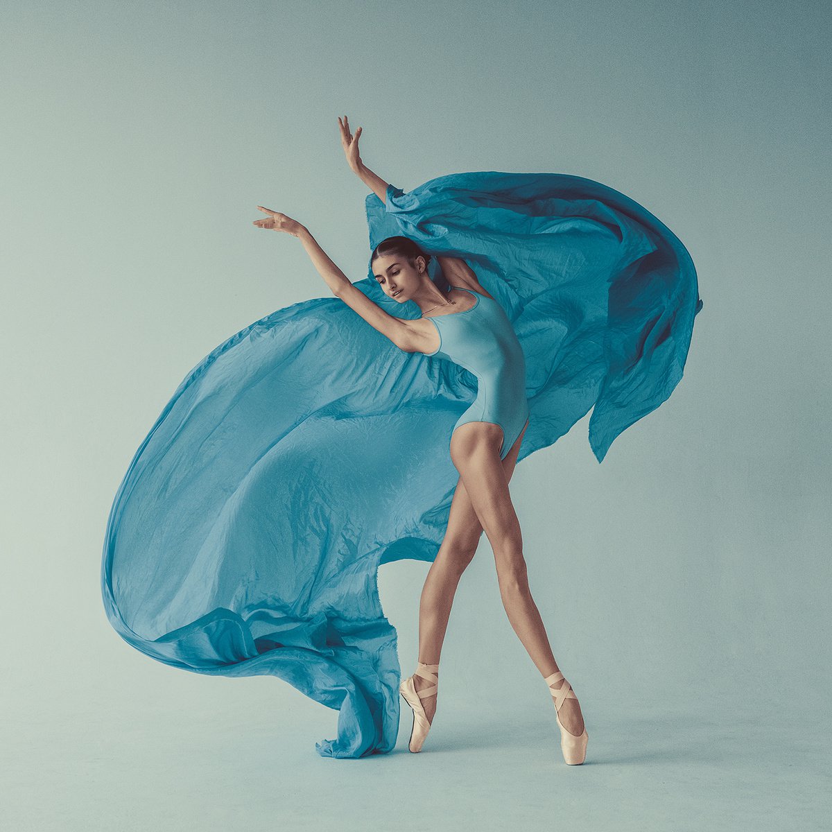 Photorealistic Portrait Photograph By Dan Hecho, 24 X 24, Blue Swan, Original Artwork