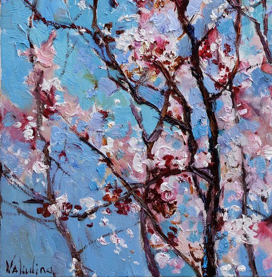 Flowering apricot tree - Original oil painting