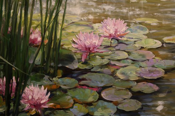 "Morning Harmony"