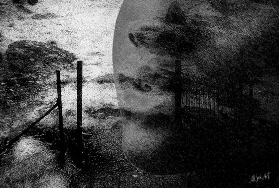 Black Castle