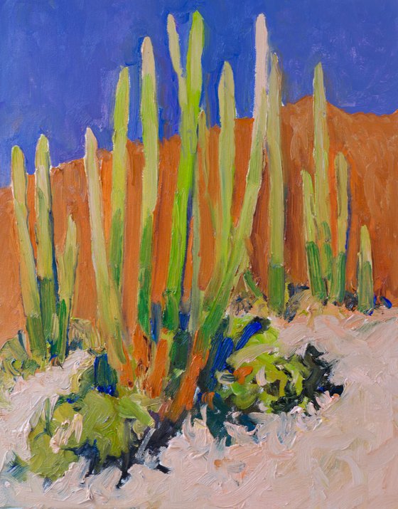 Cactuses in the Desert