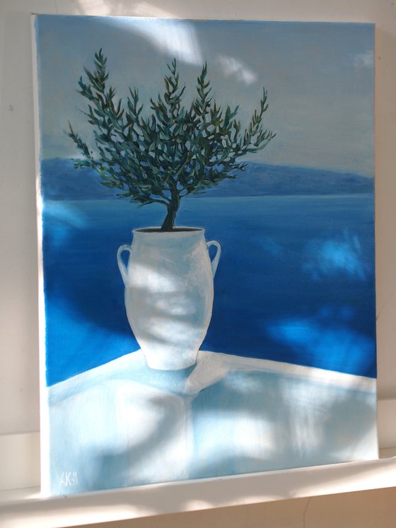 Olive tree in a white pot