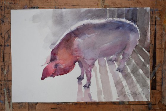 Piggy