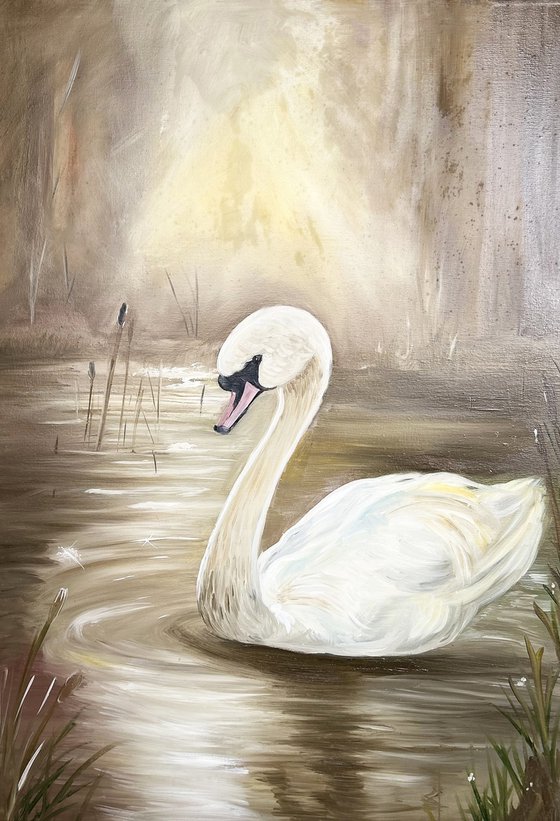 The White Swan