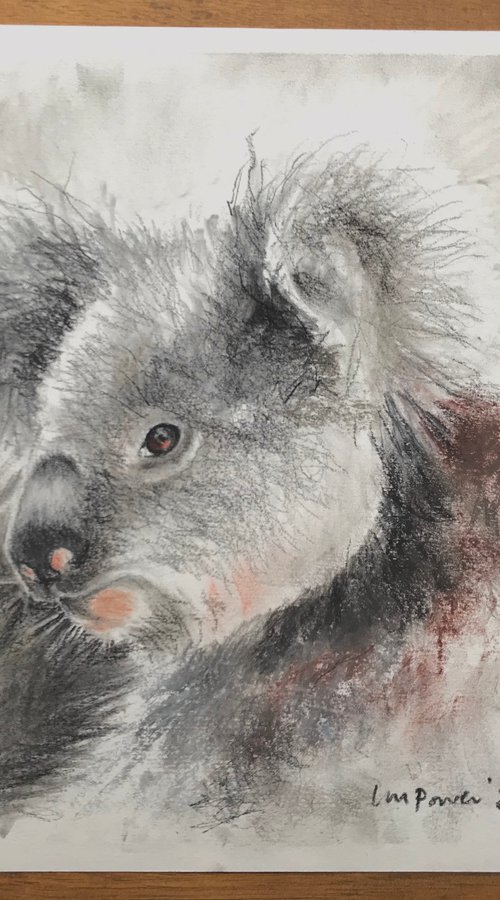 Charcoal Koala #02 by Luci Power