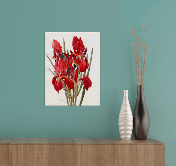 Red Irises