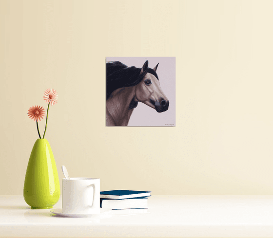 Horse Portrait 16