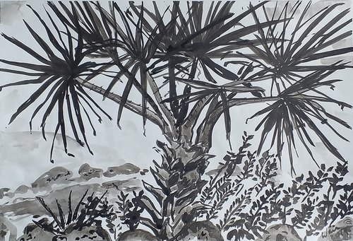 Yucca in Villa Mediterranea by Kirsty Wain