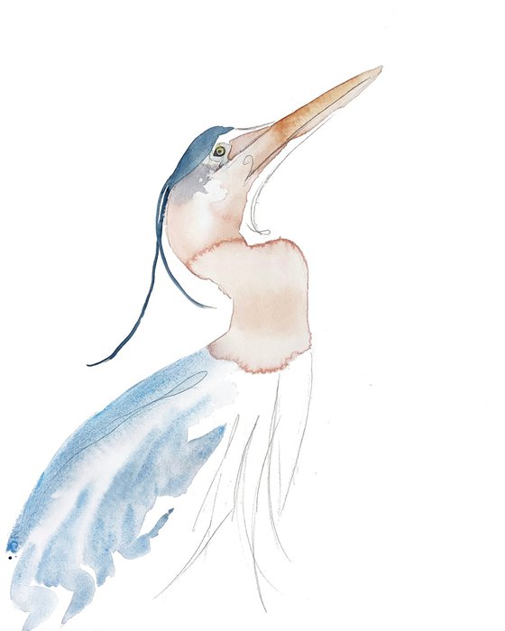 Heron No. 15