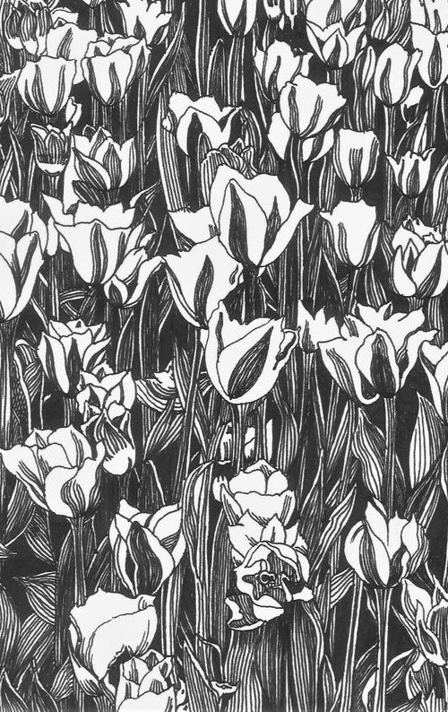 TULIP FEVER Ink Drawings Series by Nives Palmić