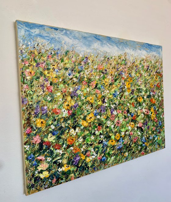 Blooming field