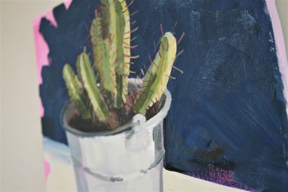 Small cactus on pink ground