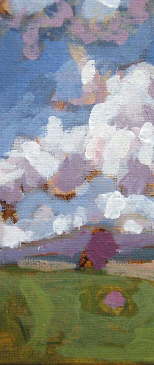 LANDSCAPE (SUMMER 7) by LENKA STASTNA