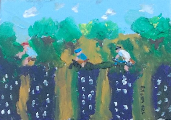 Cycling by lavender fields