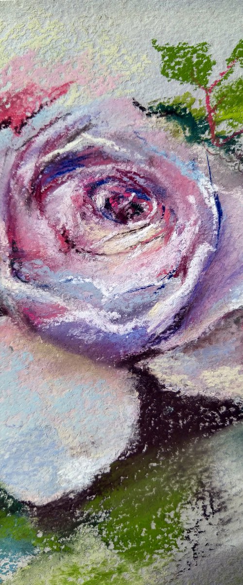 Rose portrait in pastel by Tatiana Gogolkina