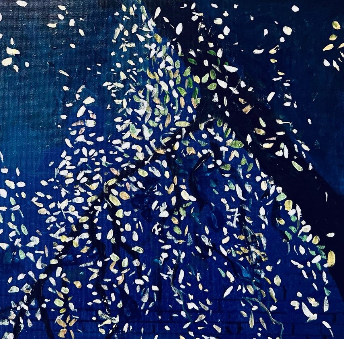  Autumn Against The Dark Blue By Shabs Beigh, 18 X 18, Artwork For Sale On Artfinder