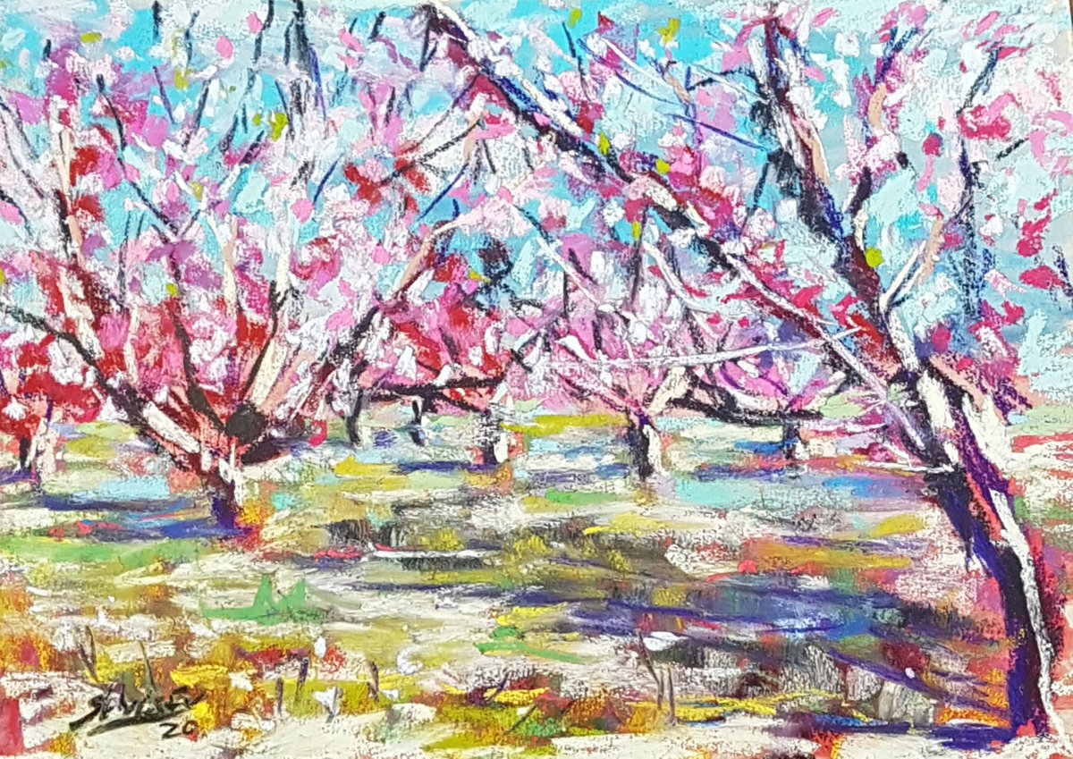 Peaches in blossom by Silvia Flores Vitiello