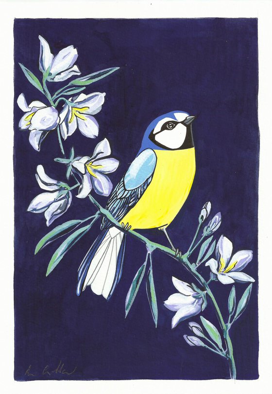 Bluetit and Bellflower