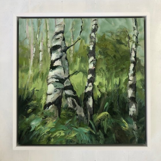 Silver Birches
