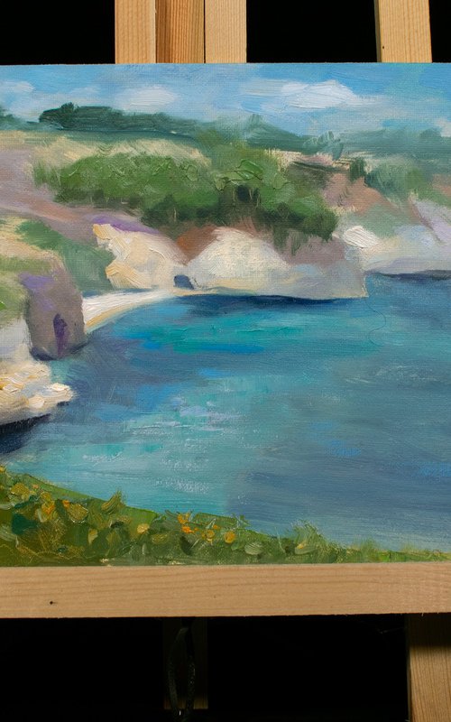 Ocean Coastal Path Brittany Finisterre by Gav Banns