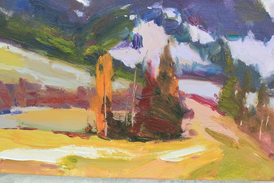 Breath of spring in the mountains