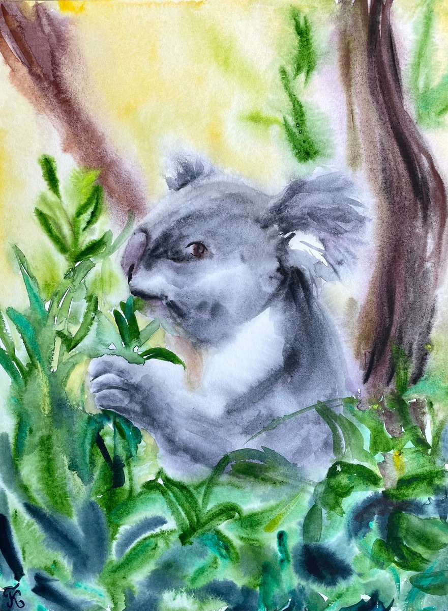Koala Original Watercolor Painting, Australian Bear Picture, Animal Illustration, Cute Wal... by Kate Grishakova