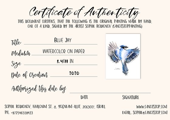 Flying Blue Jay Bird