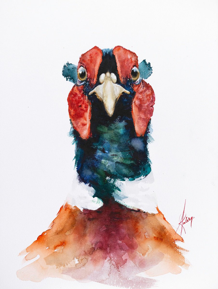 Watercolour , Pheasant Portrait By Andrzej Rabiega, 12 X 16, Artwork For Sale On Artfinder