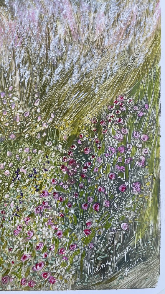 Ornamental grasses in the garden