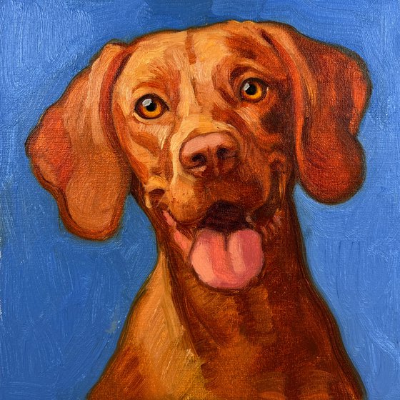 Vizsla