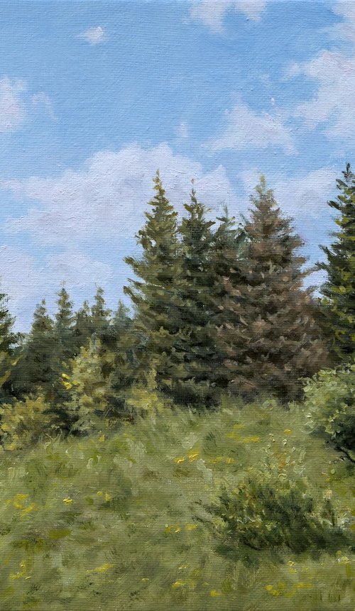 Cemernik Pines by Dejan Trajkovic