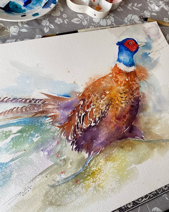 Can't be Late_ Pheasant