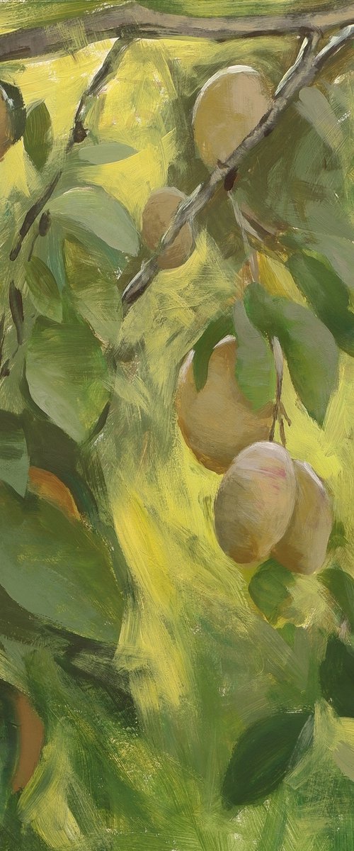 Solar plum by Nikita Maksimchuk