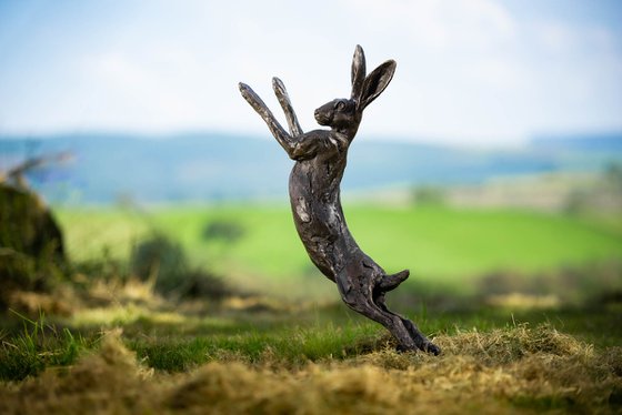 Spring Hare Foundry Bronze