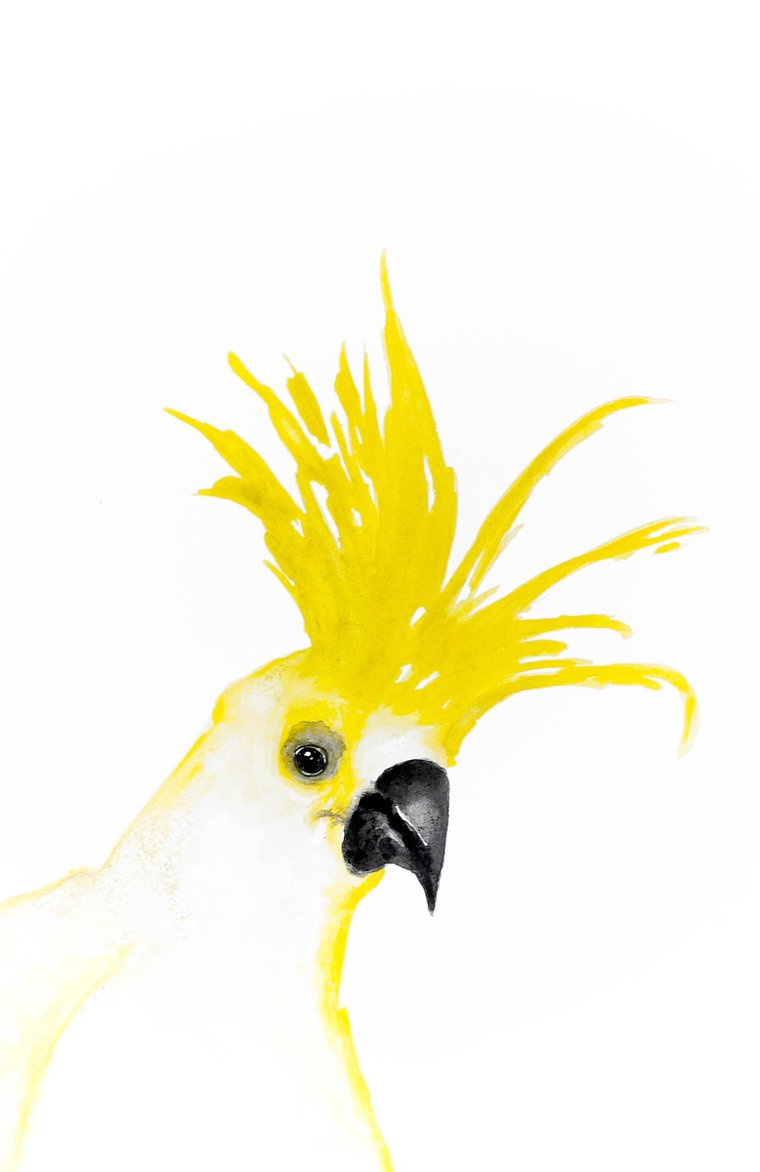Animal and bird art | Artfinder Animal and bird art | Artfinder