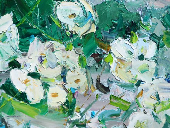 " jasmine flower "