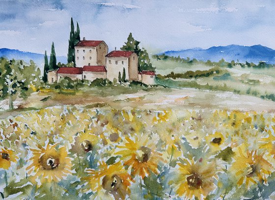 Sunflowers in Tuscany