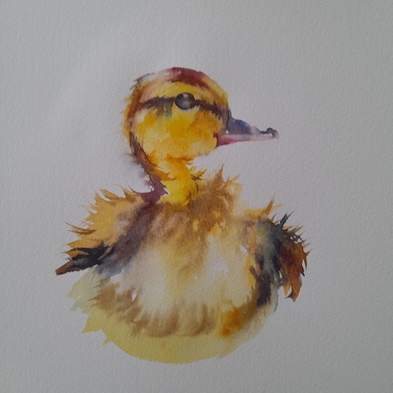 Duckling, an original watercolour painting