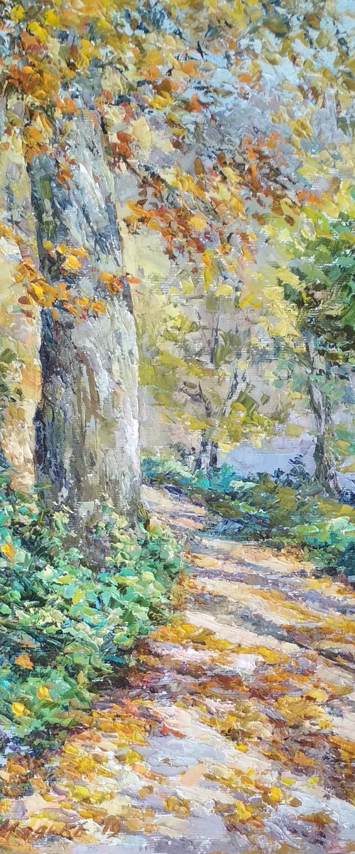 Autumn Footpath by Olha Malko