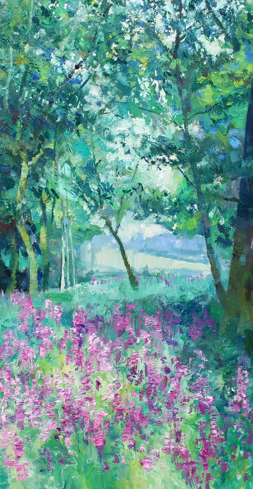 Foxgloves on Pulpit Hill by Christian Twelftree