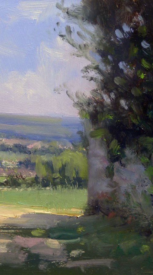 Outing on the height of Sisteron by Pascal Giroud