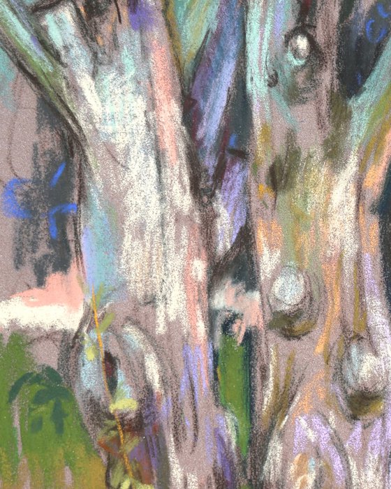 Through a Prism of Colors