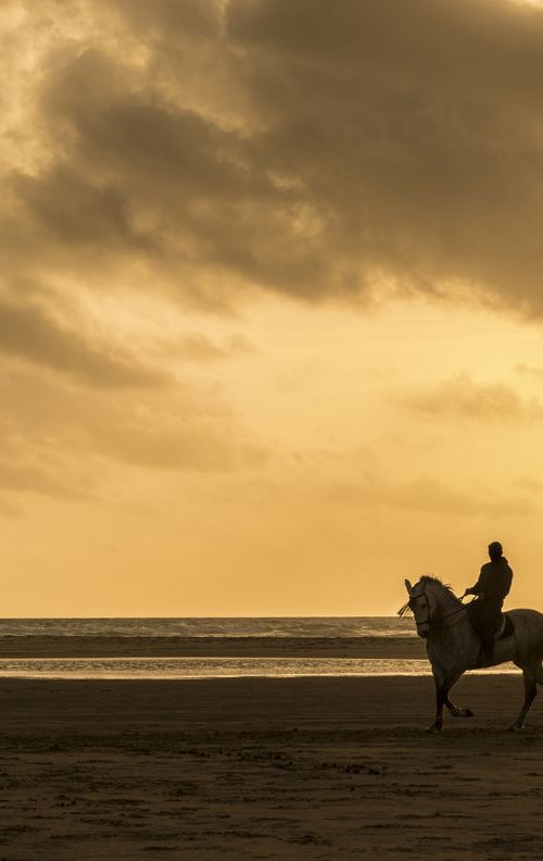 RIDER IN SILHOUETTE by Andrew Lever