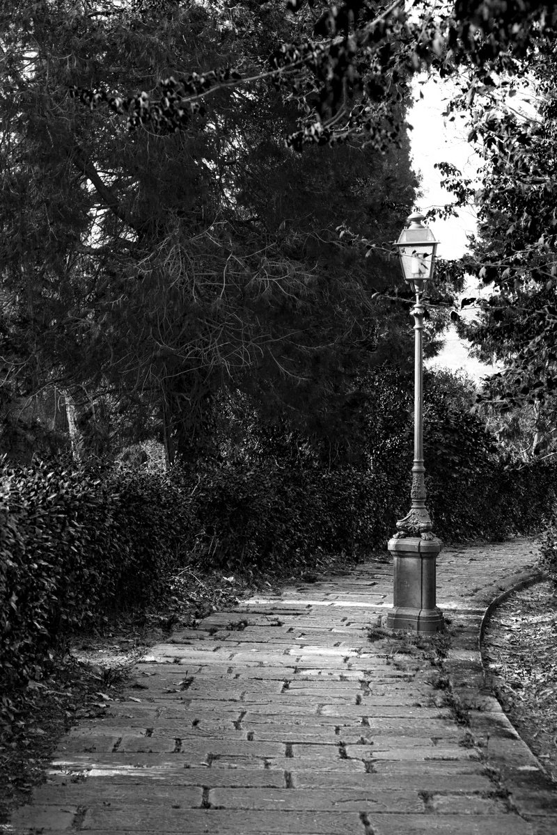 #73 Florence Nature - ancient lamp by Mattia Paoli