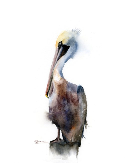 Brown Pelican  -  Original Watercolor Painting by Olga Shefranov (Tchefranov)
