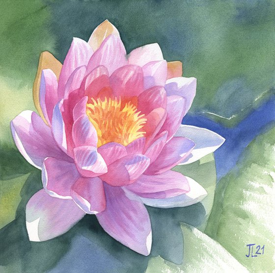 Pink water lily original watercolor painting gift for her