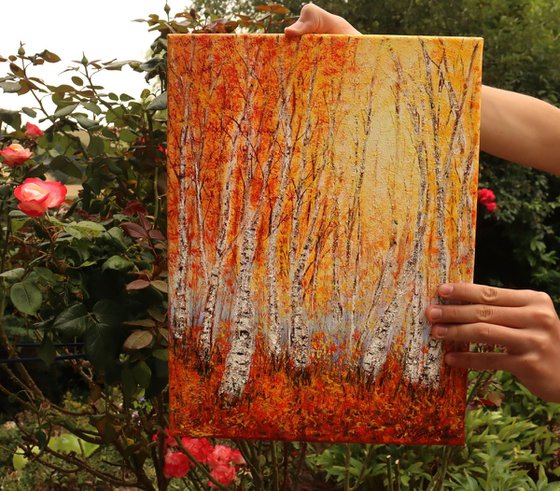Autumn birch trees forest